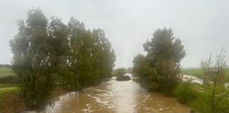 Las lluvias de Semana Santa llenan los embalses del Guadiana Crecida del Guadiana