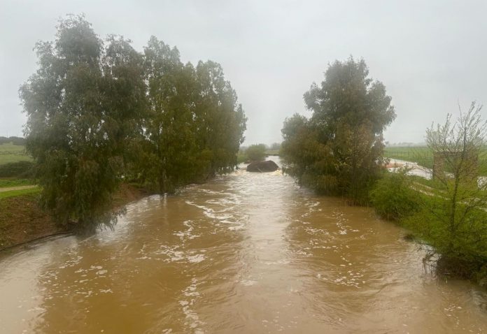 Crecida del Guadiana