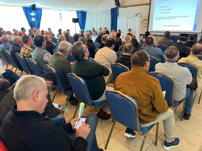 Mancha Occidental II