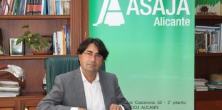 El sabor amargo del limón alicantino. José Vicente Andreu. Presidente de ASAJA Alicante José Vicente Andreu