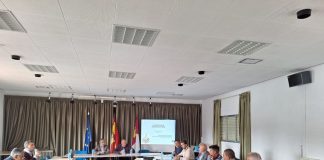 Estima un descenso del 16 por ciento de superficie sembrada de ajo a nivel nacional Mesa Nacional Ajo