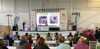 Gastronomía, ponencias y tradiciones, en la segunda jornada de la feria FERDUQUE FERDUQUE 2024