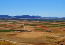 Unión de Uniones insiste en que las ayudas al sector agrario son “insuficientes” campo