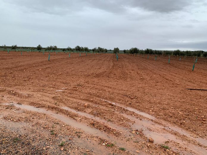 lluvias cultivos lluvias