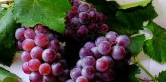 Las principales claves de los derivados de la uva uvas