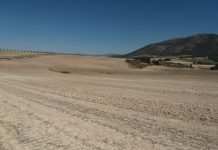 El sector traslada a la UE el impacto de la ola de calor en la agricultura sequía