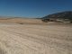 El sector traslada a la UE el impacto de la ola de calor en la agricultura sequía