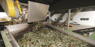 Buscan valorizar el alperujo a través de tecnologías innovadoras alperujo