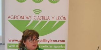 Tribunal Supremo declara que preaviso y prórrogas de arrendamientos no son obligatorios si se pacta su exclusión. Celia Miravalles. Abogada Celia Miravalles Calleja