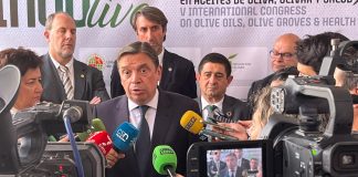 El ministro de Agricultura pide actuar “de forma responsable” con los precios del aceite de oliva Luis Planas