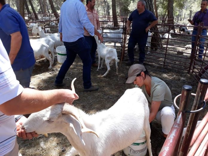 Escuela de Pastores de Andalucía