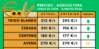 Subidas de hasta siete euros la tonelada de cereal por los fenómenos atmosféricos y políticos mundiales