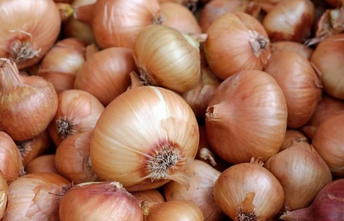 cebollas