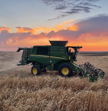 Comienza la cosecha de cereal con preocupación por las altas temperaturas cosechadora