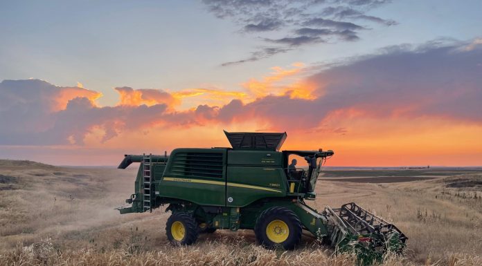 Comienza la cosecha de cereal con preocupación por las altas temperaturas cosechadora