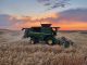 Comienza la cosecha de cereal con preocupación por las altas temperaturas cosechadora