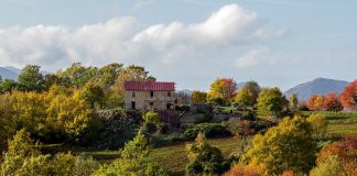La mafia calabresa intenta controlar negocios agrícolas Italia