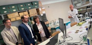 Estudian la resistencia de la uva airén a la sequía y el pronóstico de infecciones en la vid Instituto de Ciencias Ambientales (ICAM)