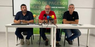 El campo pide regularizar a indocumentados por la gran demanda de temporeros organizaciones agrarias catalanas