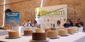 Cuarenta quesos manchegos “de muy buena calidad” buscan la medalla de oro de Fercam 2024 concurso regional de calidad de quesos manchegos