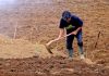 Un nuevo informe confirma el acusado envejecimiento del sector agrario español agricultor mayor