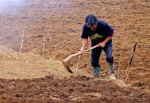 Un nuevo informe confirma el acusado envejecimiento del sector agrario español agricultor mayor