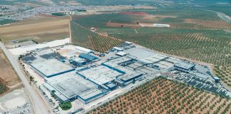 La mayor cooperativa aceitunera del mundo facturó 200 millones en 2023 Agrosevilla