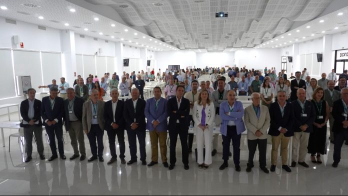 Consejo Rector de Dcoop