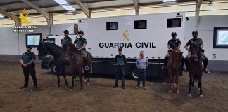 En una provincia de Castilla-La Mancha vigilarán la campaña del ajo a caballo Grupo de Caballería
