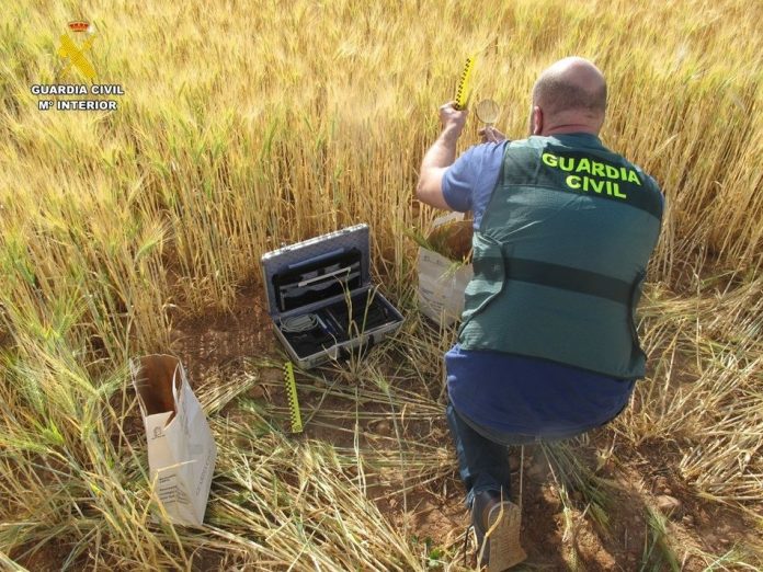 GUARDIA CIVIL CEREALES GUARDIA CIVIL CEREALES