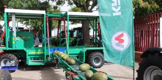 Fercam 2024 premia una máquina autopropulsada de recolección de melones y sandías máquina autopropulsada de recolección de melones y sandías