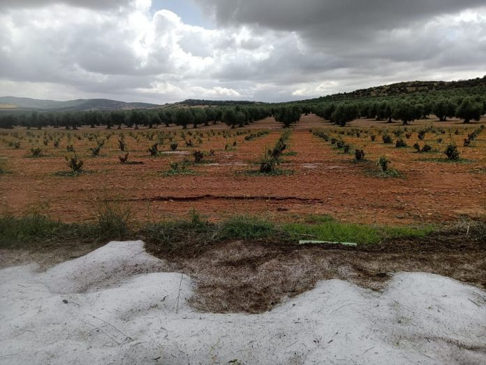 granizo Manzaneque