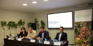 Hasta 9.000 euros/hectárea a partir del octavo año del pistachero informe pistachos