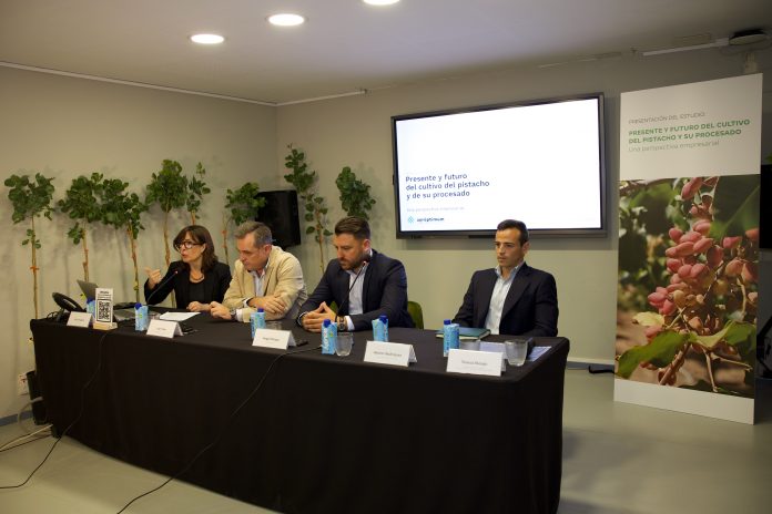 informe pistachos