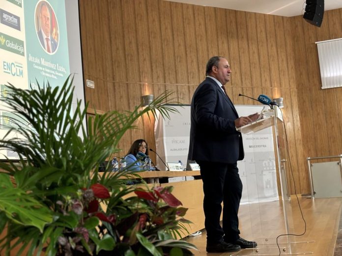 Martínez Lizán