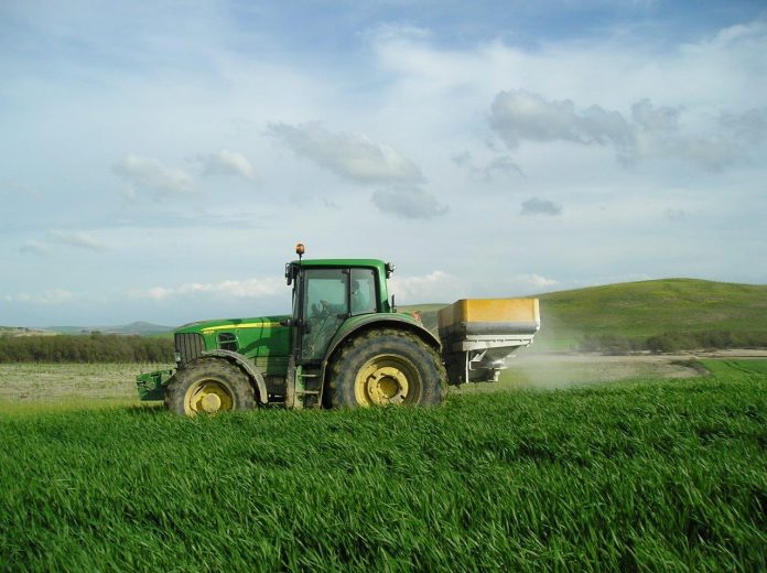 campo