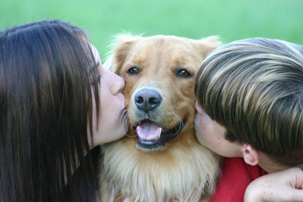 fotografía de mascotas