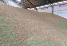 La cosecha nacional de cereales de 2025, la segunda mejor de la historia mercado de cereales