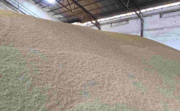 Nueva brecha entre oferta y demanda ante un horizonte de producción mundial de cereales récord mercado de cereales