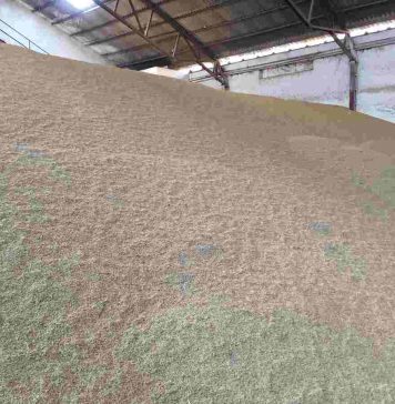 El precio del cereal sube impulsado por la situación en el mar Negro mercado de cereales