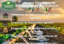 Plantaciones Agrícolas, un nuevo directorio web de empresas de agricultura de plantación plantaciones agricolas