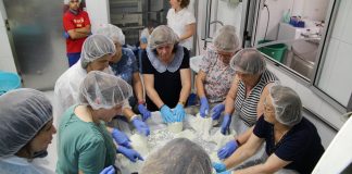 Mujeres de AMFAR Argamasilla de Alba elaboran queso artesano AMFAR Argamasilla de Alba elaboran queso artesano