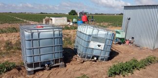 Los ayuntamientos de Ciudad Real siguen preocupados por los robos en el campo robos campo
