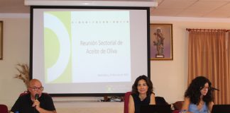 “Si las ventas de aceite continúan a este ritmo se terminará la campaña con las existencias más bajas de los últimos años” Cooperativas Agro-alimentarias Castilla-La Mancha