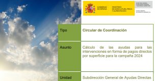 ¿Cómo se calculan las ayudas para los pagos directos por superficie para la campaña 2024 de la PAC? Fondo Español de Garantía Agraria (FEGA)