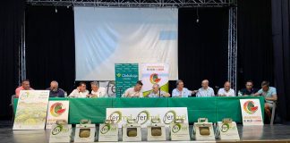 Sigue subiendo el precio en origen del melón y se estanca el de la sandía Mesa de Precios de Melón y Sandía