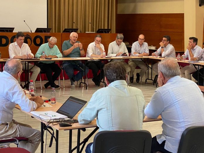 Sector agrario andaluz