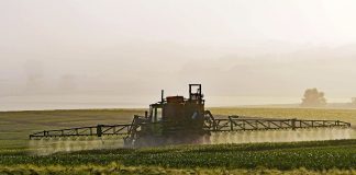 Un estudio advierte de la presencia de fitosanitarios, algunos prohibidos, en Doñana y Tablas de Daimiel pesticidas