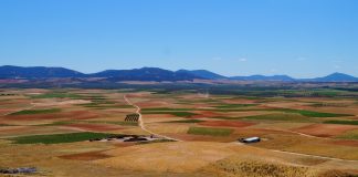 Castilla-La Mancha comienza a abonar los 150 millones del saldo de la PAC 2025 campo