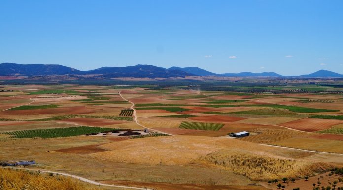Castilla-La Mancha comienza a abonar los 150 millones del saldo de la PAC 2025 campo
